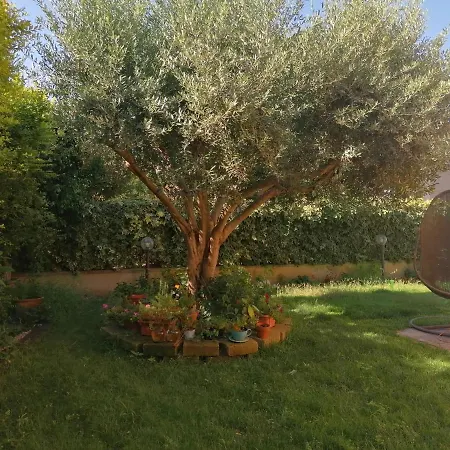 Casa Dell'ulivo - Codice Iun Ras Q7972 Hotel Quartucciu