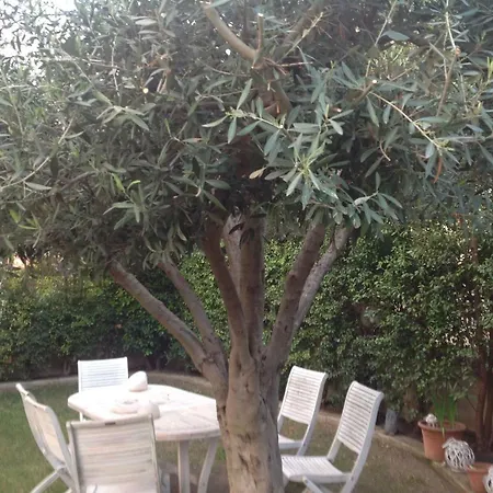 Casa Dell'ulivo - Codice Iun Ras Q7972 Hotel Quartucciu